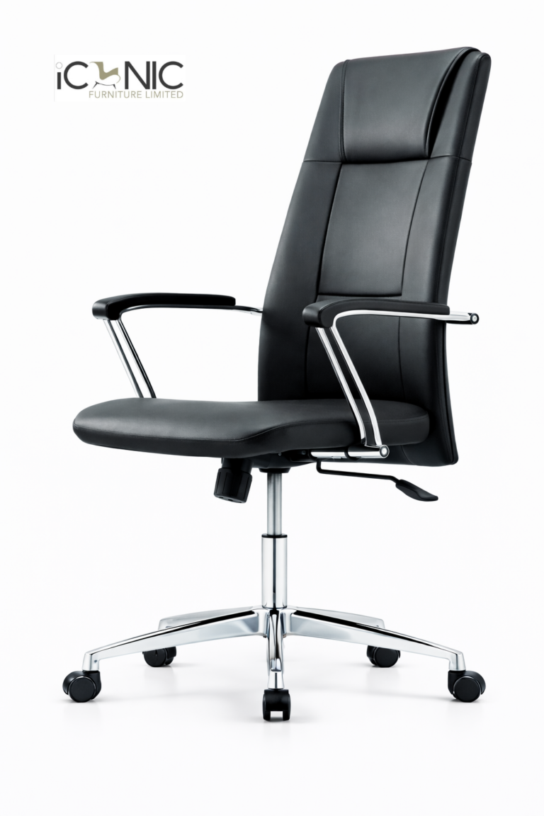 Premium black director chair with MS frame and caster wheels