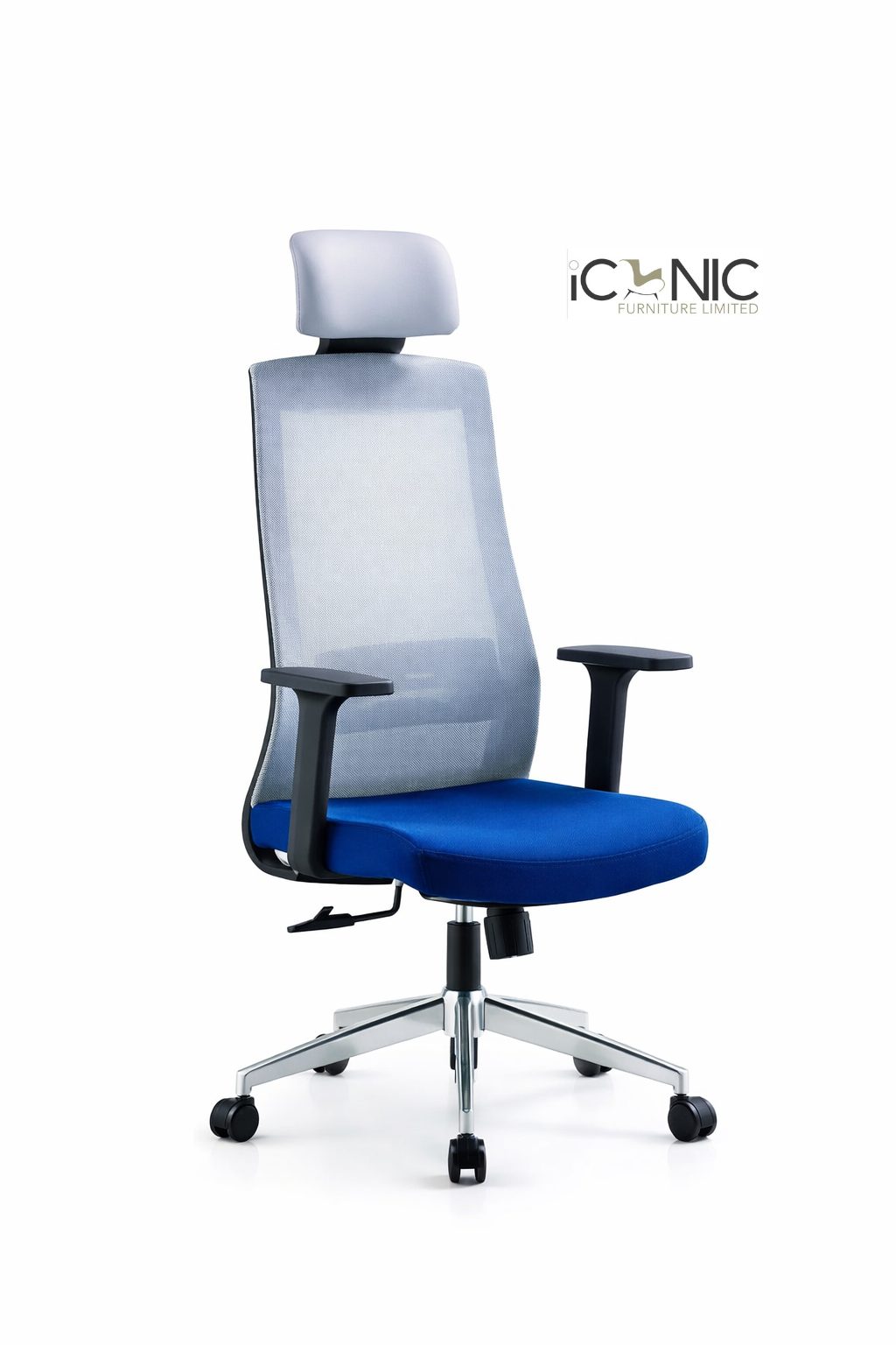 Premium mesh director chair with MS frame and caster wheels
